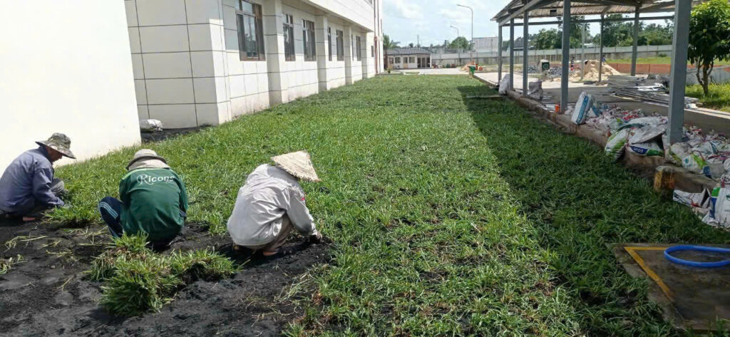 Z6597146211012 bf754b13c4ae7bfd5958cd84336654ab